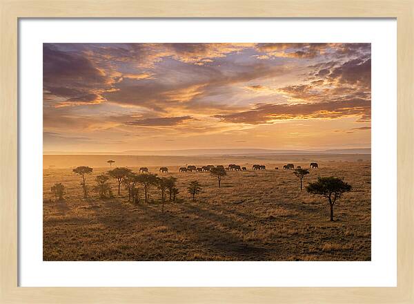 Maasai Mara Serenity At Dusk