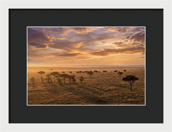 Maasai Mara Serenity At Dusk