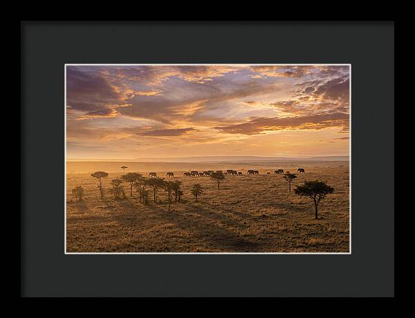 Maasai Mara Serenity At Dusk