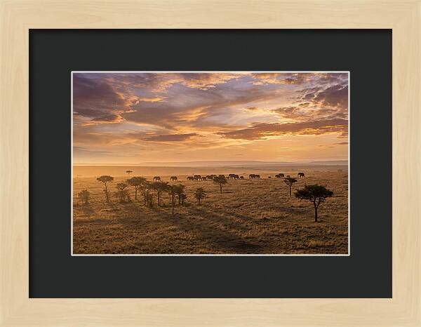 Maasai Mara Serenity At Dusk