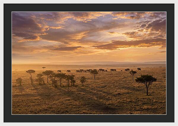 Maasai Mara Serenity At Dusk