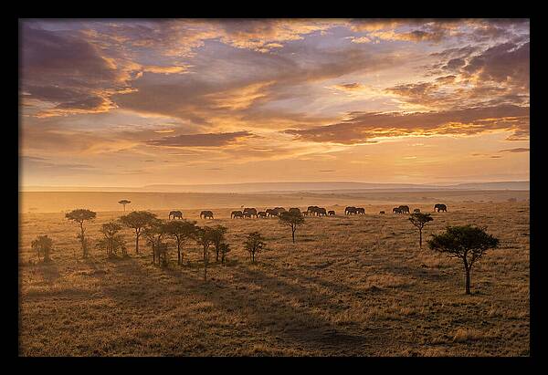 Maasai Mara Serenity At Dusk