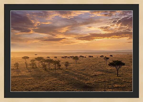 Maasai Mara Serenity At Dusk