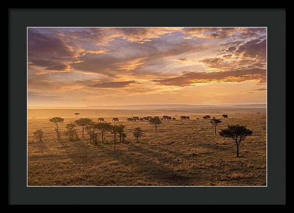 Maasai Mara Serenity At Dusk