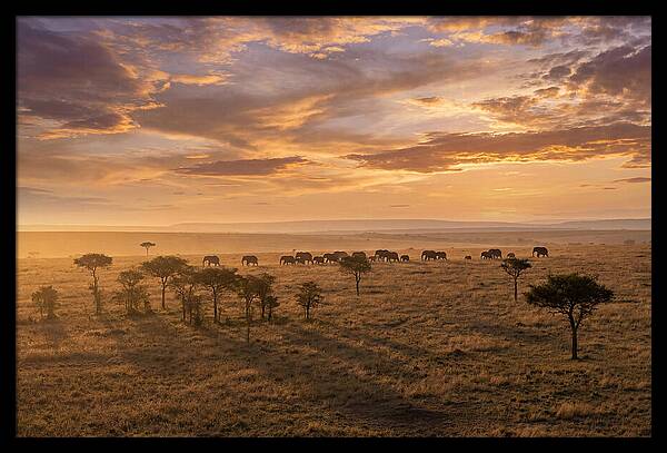 Maasai Mara Serenity At Dusk