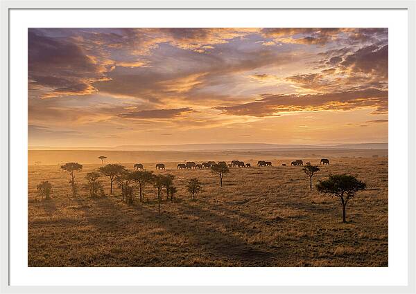 Maasai Mara Serenity At Dusk