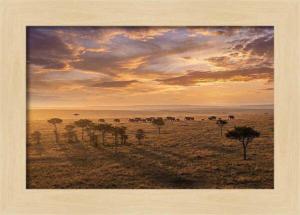 Maasai Mara Serenity At Dusk