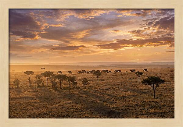 Maasai Mara Serenity At Dusk