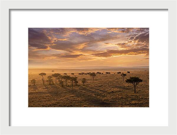 Maasai Mara Serenity At Dusk