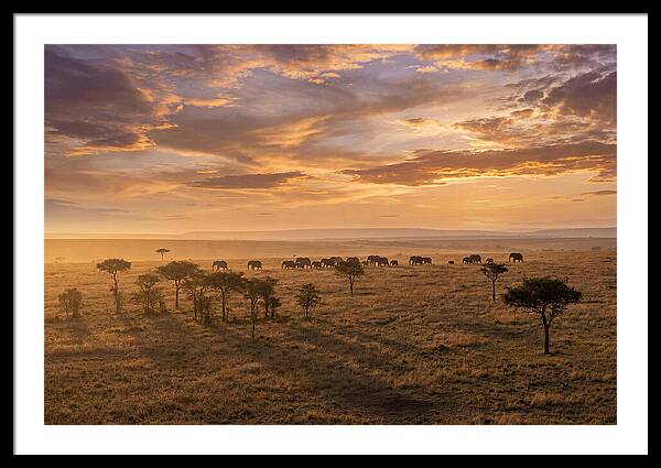 Maasai Mara Serenity At Dusk