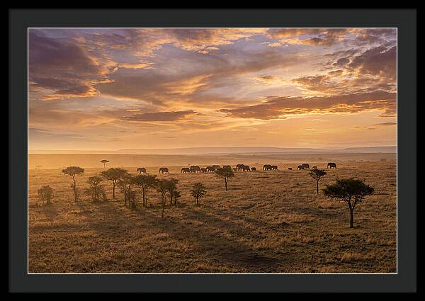 Maasai Mara Serenity At Dusk