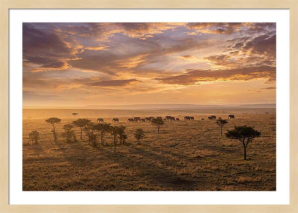 Maasai Mara Serenity At Dusk