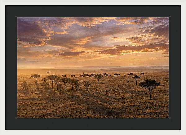 Maasai Mara Serenity At Dusk