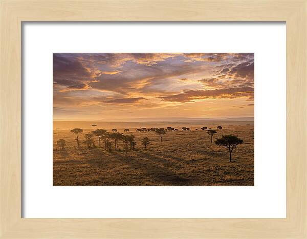 Maasai Mara Serenity At Dusk