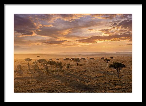 Maasai Mara Serenity At Dusk