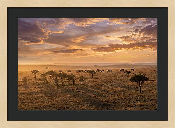 Maasai Mara Serenity At Dusk