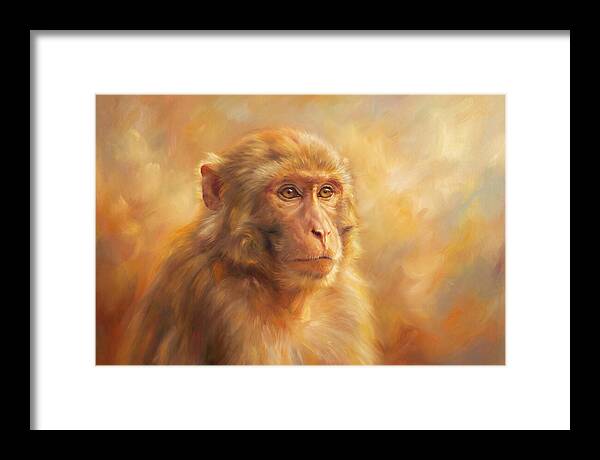 Macaque In Light