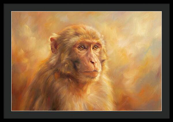 Macaque In Light