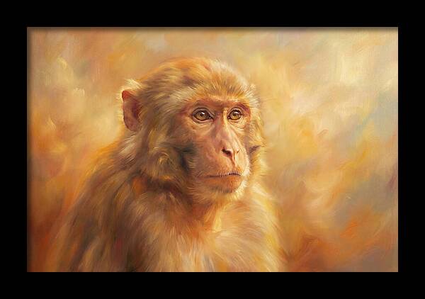 Macaque In Light