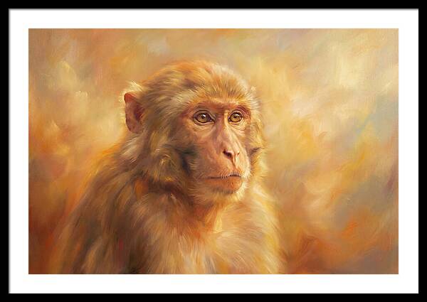Macaque In Light