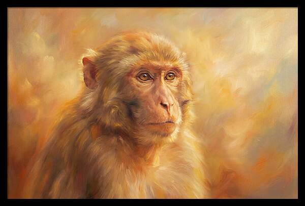 Macaque In Light