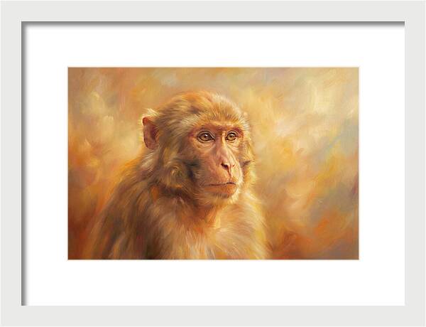 Macaque In Light