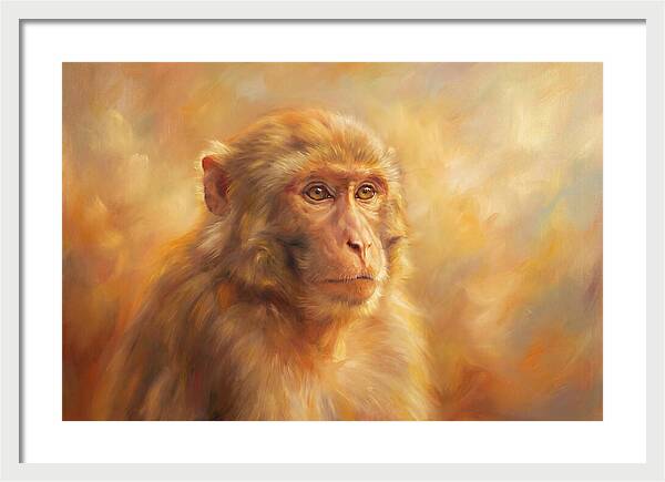 Macaque In Light