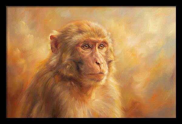 Macaque In Light