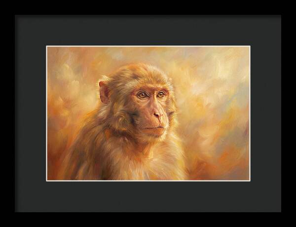 Macaque In Light