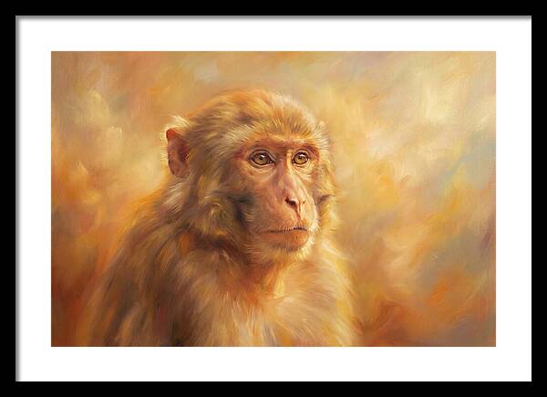 Macaque In Light