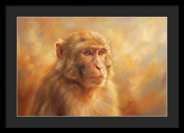 Macaque In Light