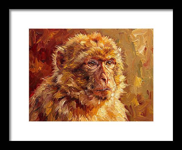 Macaque In Mediterranean Light