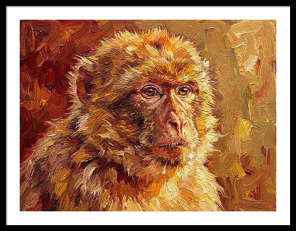 Macaque In Mediterranean Light