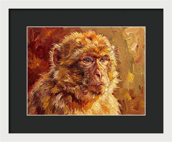 Macaque In Mediterranean Light