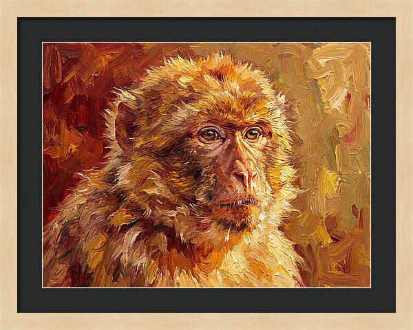 Macaque In Mediterranean Light