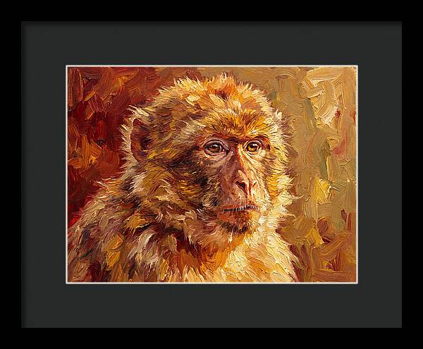 Macaque In Mediterranean Light