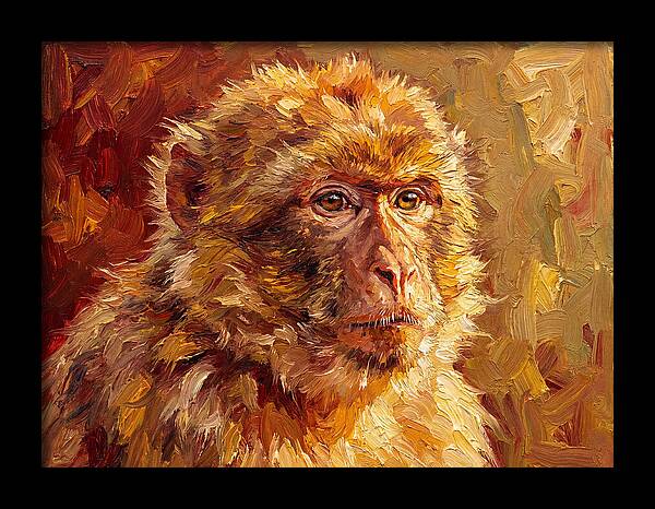 Macaque In Mediterranean Light