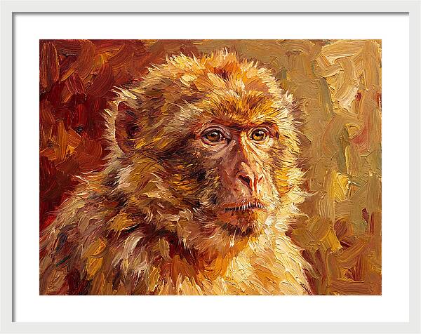 Macaque In Mediterranean Light