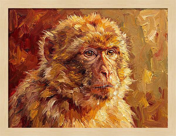 Macaque In Mediterranean Light