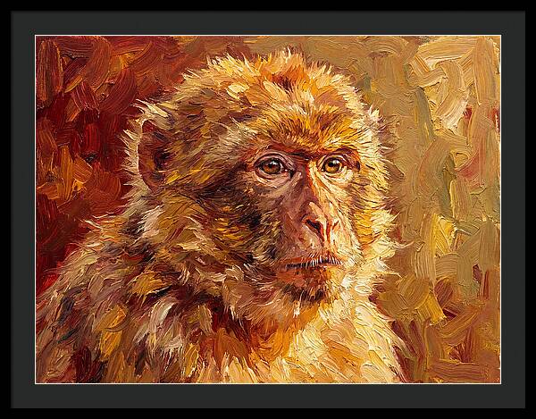 Macaque In Mediterranean Light