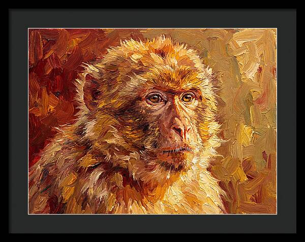 Macaque In Mediterranean Light