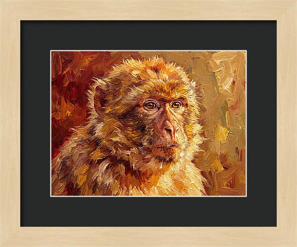 Macaque In Mediterranean Light