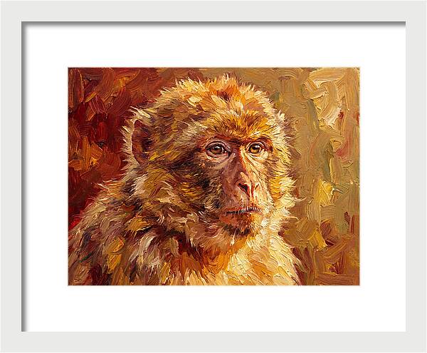 Macaque In Mediterranean Light