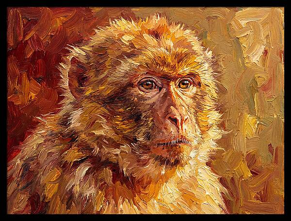 Macaque In Mediterranean Light