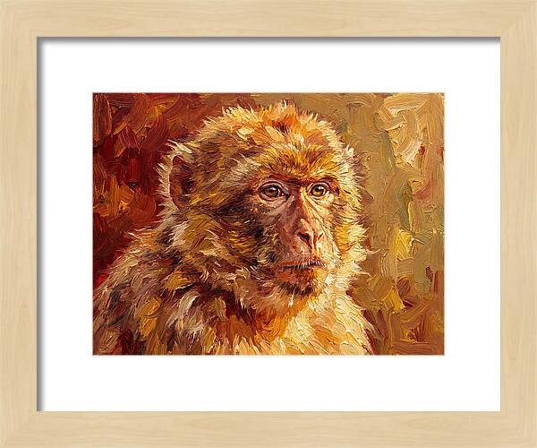 Macaque In Mediterranean Light