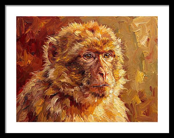 Macaque In Mediterranean Light