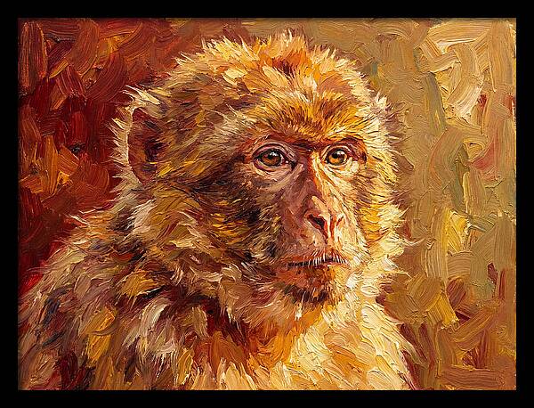Macaque In Mediterranean Light