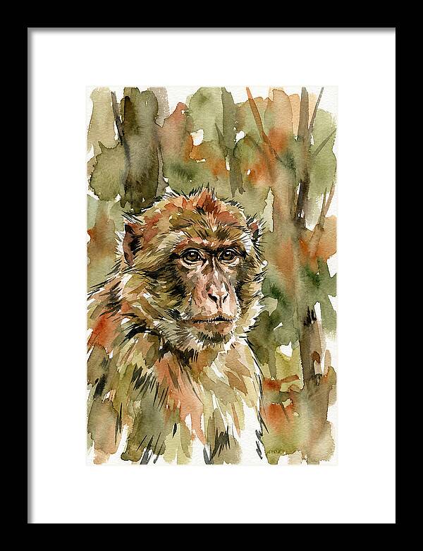 Macaque In Nature