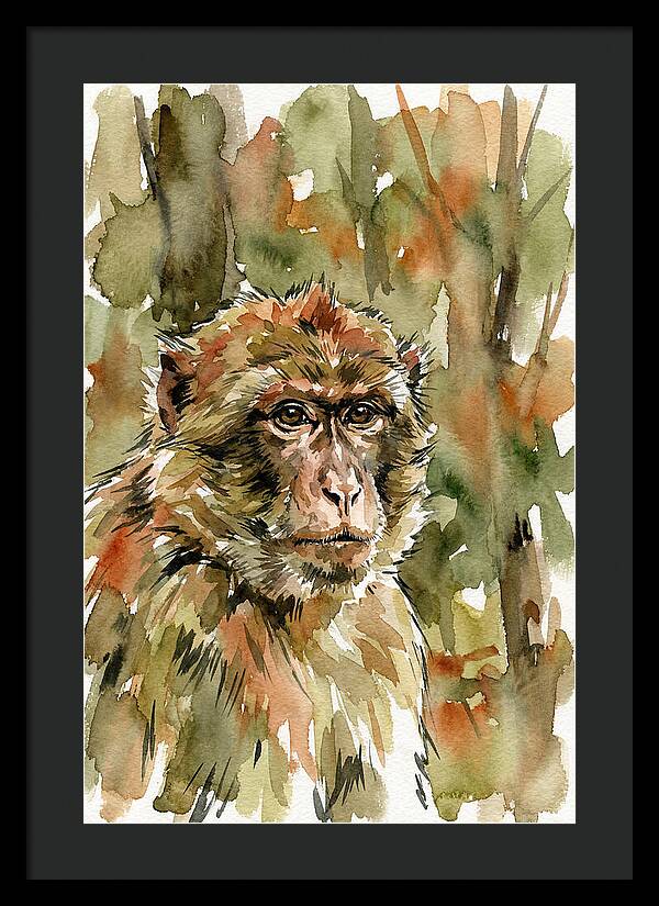 Macaque In Nature