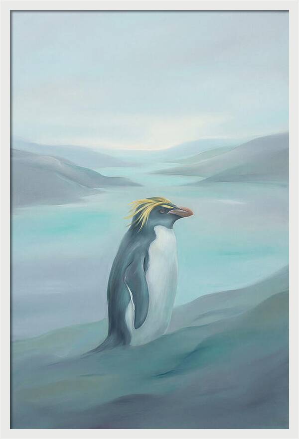 Macaroni Penguin Majesty